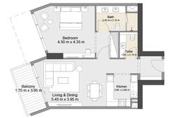 1 bedroom apartment